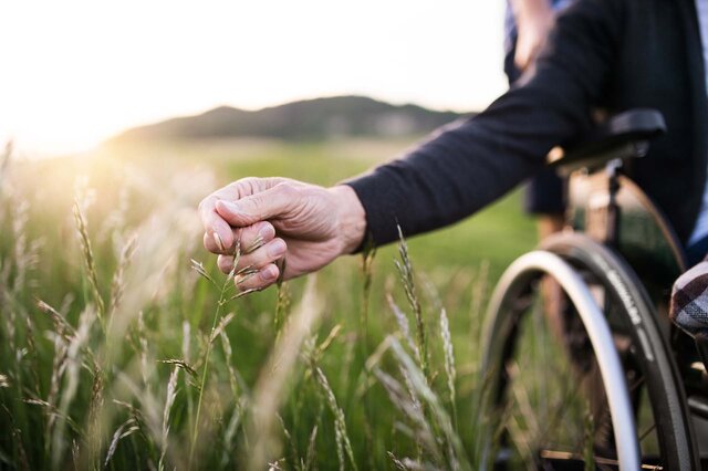 Ein Mann im Rollstuhl hält eine Hand in einem grünen Feld, das von Sonnenlicht durchflutet wird.