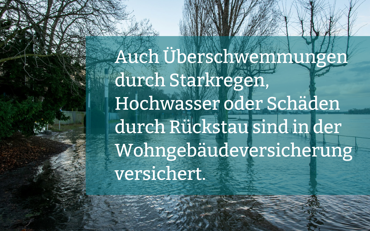 Schaeden durch Starkregen, Hochwasser und Rueckstau zahlt die Elementarschadenversicherung. | © Matthew / Unsplash Das Bild zeigt ein überschwemmtes Flussufer mit Baeumen und Baenken. | © Matthew / Unsplash