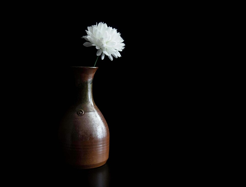 Wenn ein geliebter Mensch stirbt: Praktische Schritte in der Trauer | © Rae Wallis/Unsplash Auf dem Bild sieht man eine braune Vase mit einer weißen Blume, der Rest des Bildes ist sehr dunkel | © Rae Wallis/Unsplash